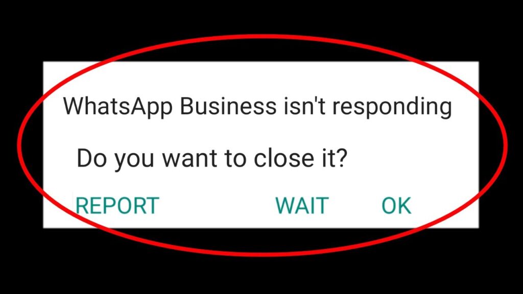 whatsapp business not connecting | whatsapp business issue | whatsapp business not working